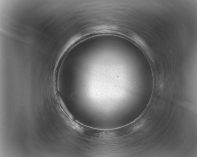 X0000060781384200511141405