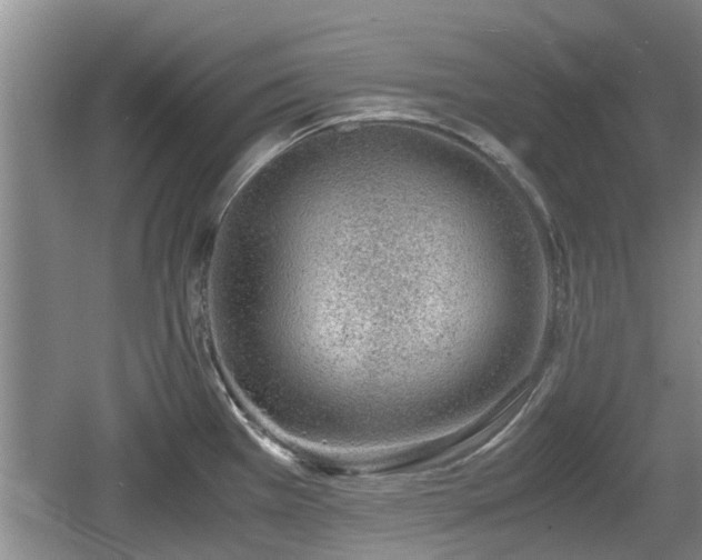 X0000060781385200511141405