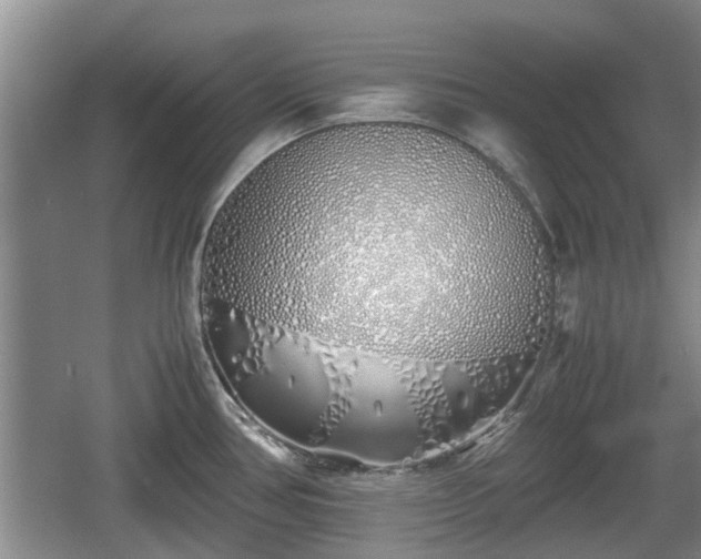 X0000060781386200511141405