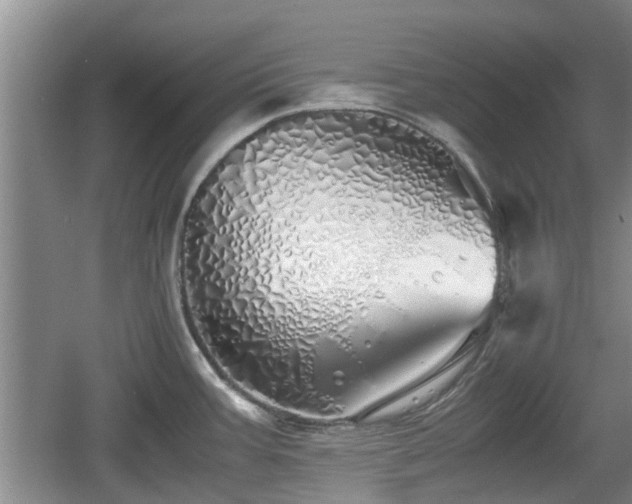 X0000060781387200511141405