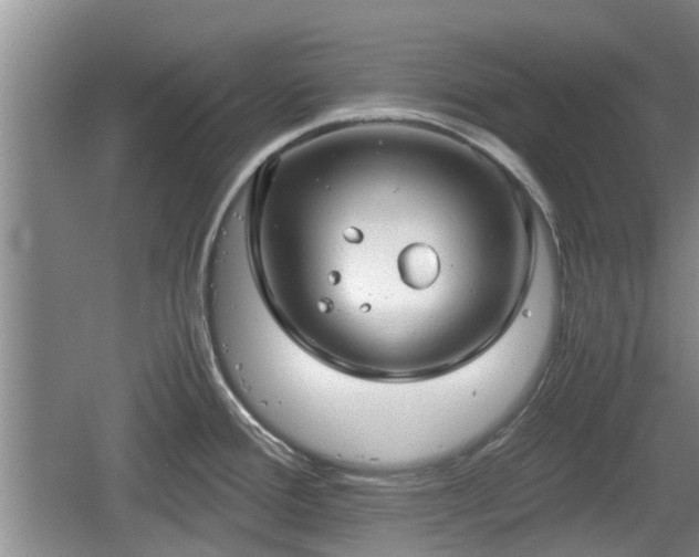 X0000060781388200511141405