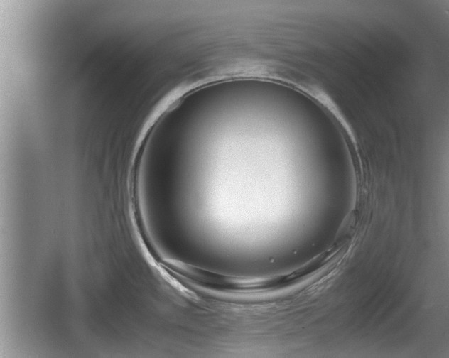 X0000060781389200511141405