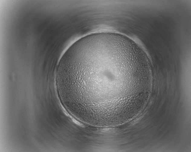 X0000060781390200511141405