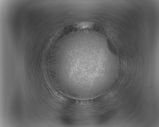 X0000060781393200511141404