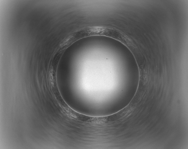 X0000060781394200511141404