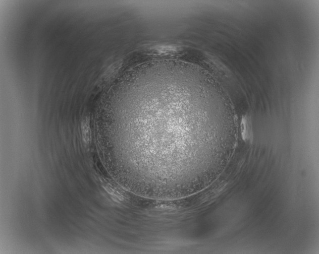 X0000060781395200511141404