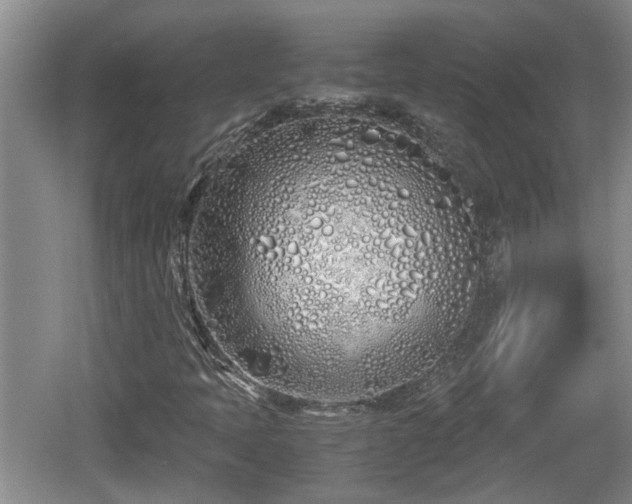 X0000060781397200511141404