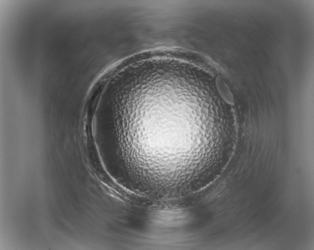 X0000060781400200511141404