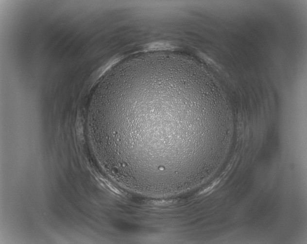 X0000060781401200511141404