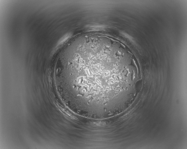 X0000060781403200511141404