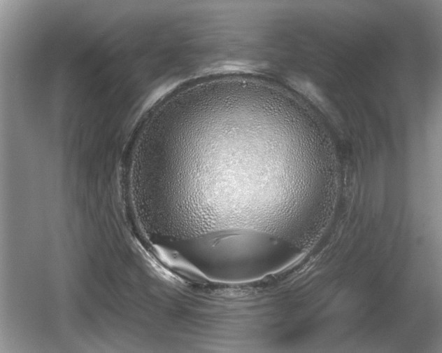 X0000060781404200511141404