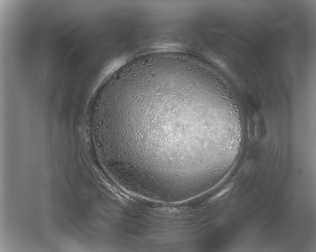 X0000060781405200511141404