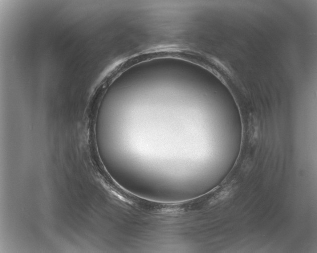 X0000060781406200511141404