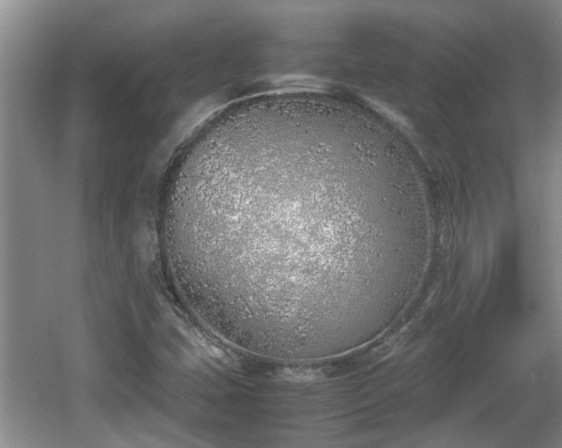 X0000060781407200511141404