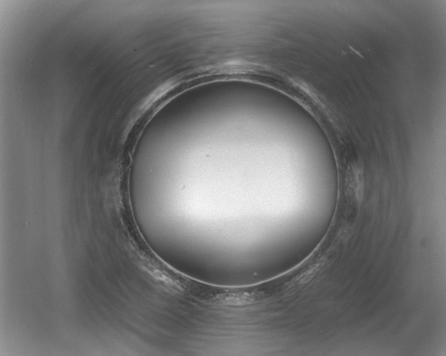 X0000060781410200511141405