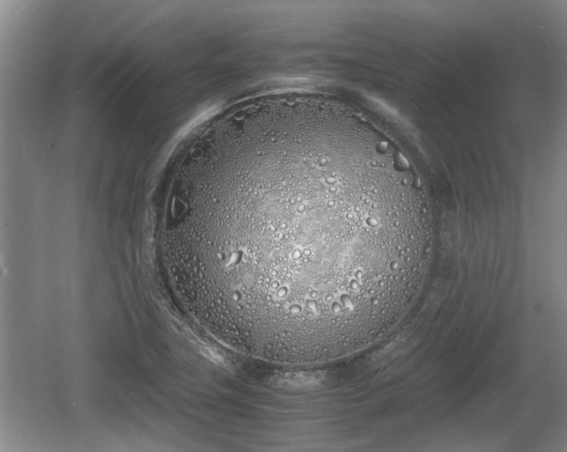 X0000060781411200511141405