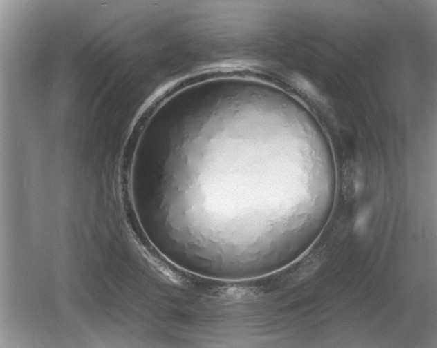 X0000060781412200511141405