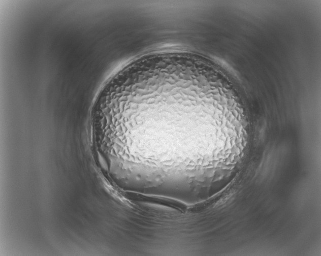 X0000060781413200511141405