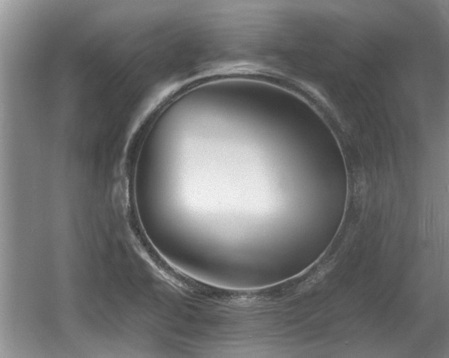 X0000060781414200511141405