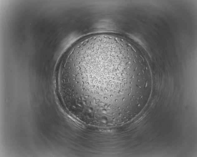 X0000060781415200511141405