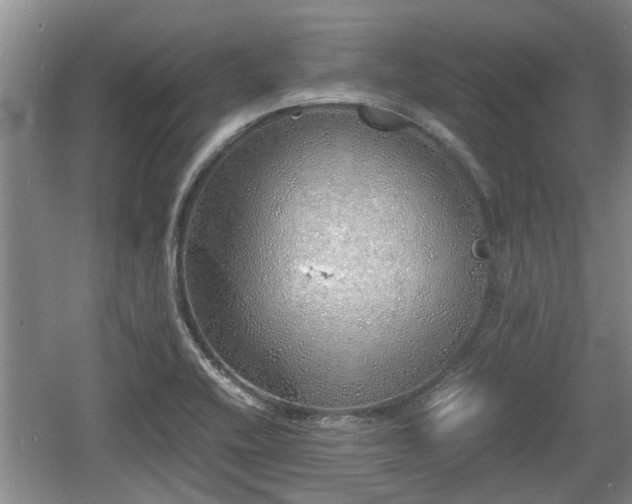 X0000060781416200511141405