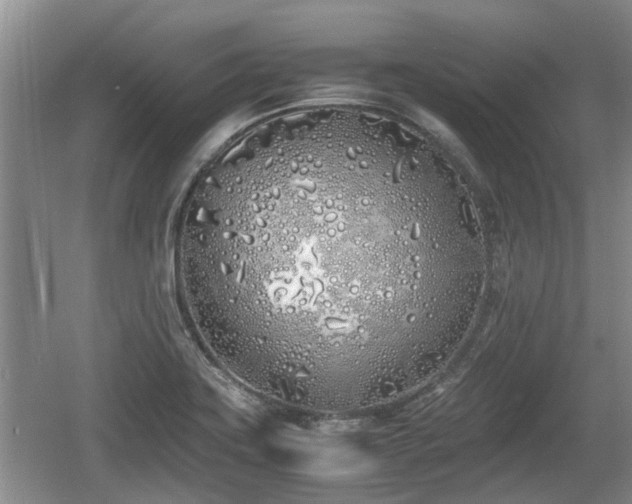 X0000060781419200511141405