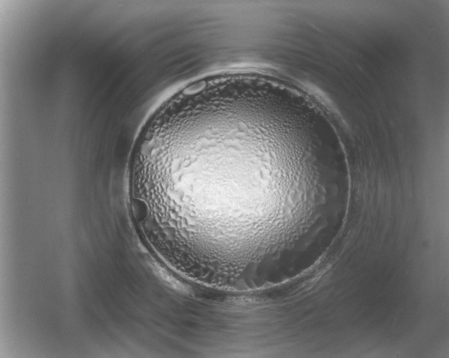 X0000060781420200511141405