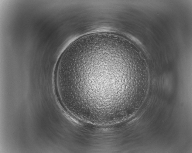 X0000060781423200511141405