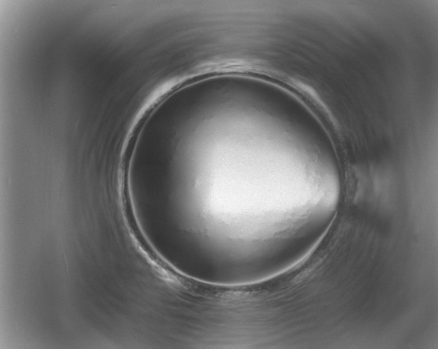 X0000060781424200511141405