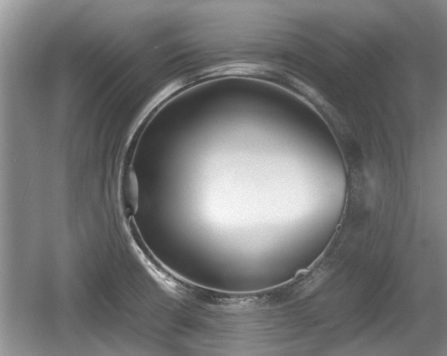 X0000060781426200511141405