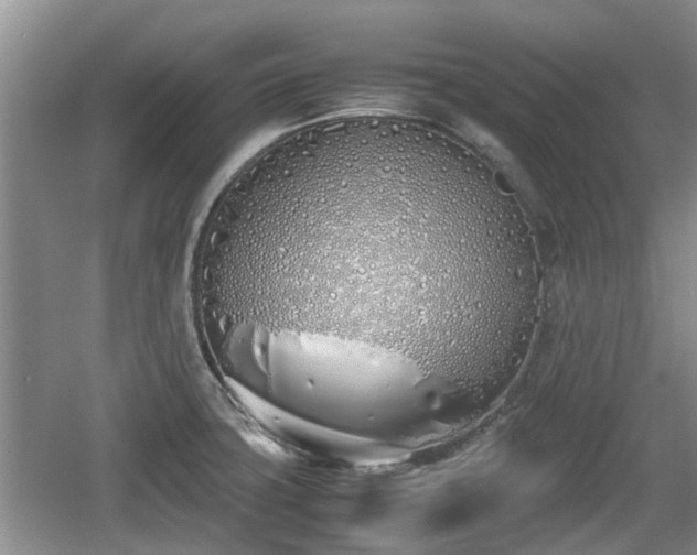 X0000060781427200511141405