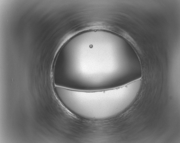 X0000060781428200511141405