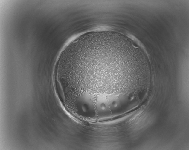 X0000060781429200511141405