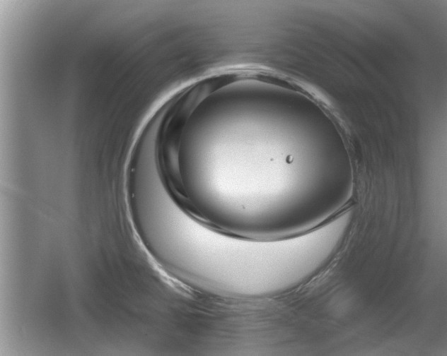 X0000060781430200511141405