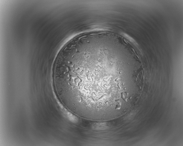 X0000060781431200511141405