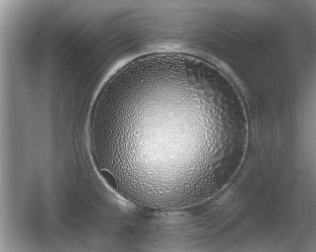 X0000060781432200511141405