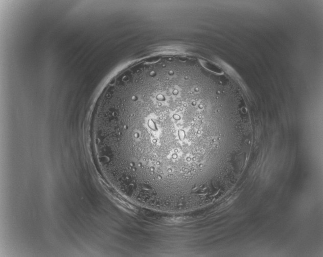 X0000060781435200511141405