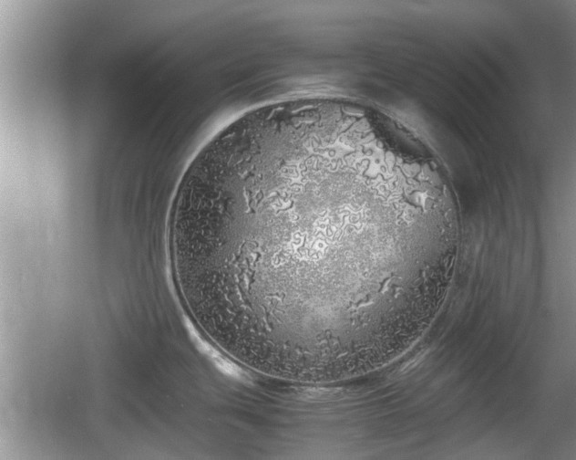 X0000060781439200511141405