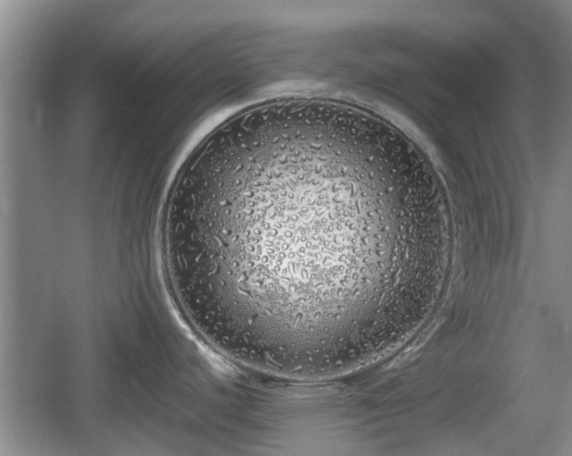 X0000060781440200511141405