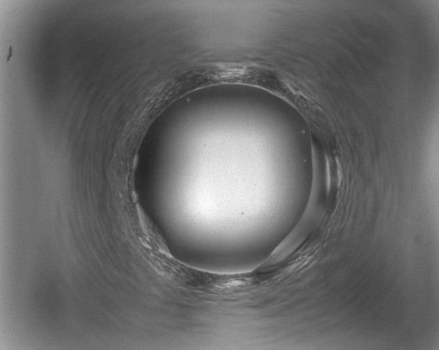 X0000060781441200511141404