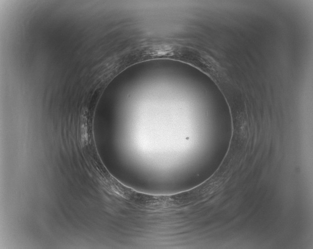 X0000060781442200511141404