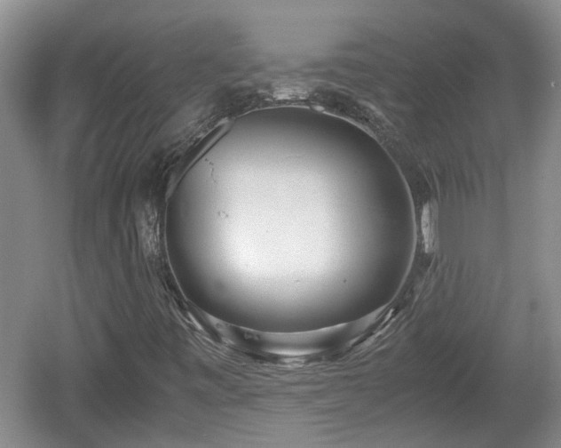 X0000060781443200511141404