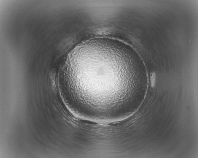 X0000060781444200511141404