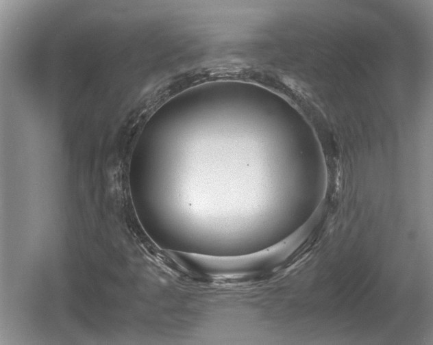 X0000060781445200511141404