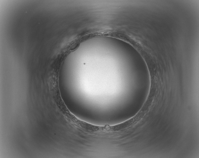 X0000060781447200511141404