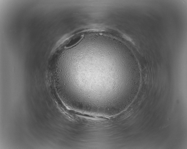 X0000060781448200511141404