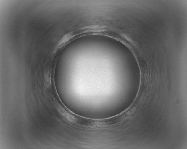 X0000060781451200511141404