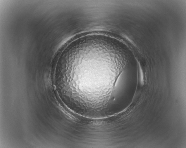 X0000060781452200511141404