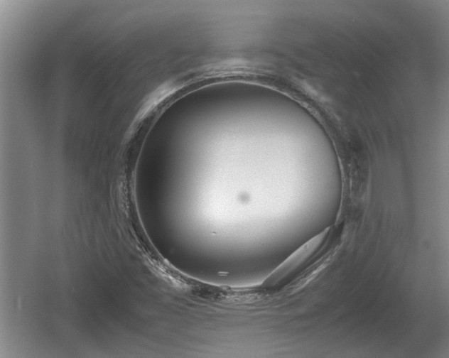 X0000060781453200511141404