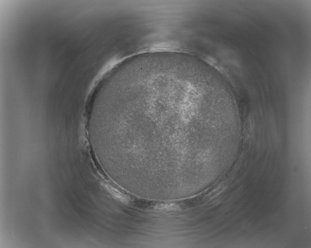 X0000060781454200511141404